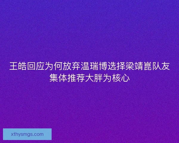 王皓回应为何放弃温瑞博选择梁靖崑队友集体推荐大胖为核心