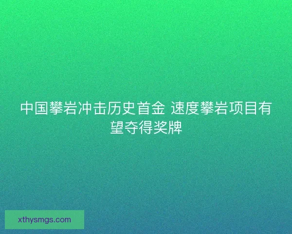 中国攀岩冲击历史首金 速度攀岩项目有望夺得奖牌 中国攀岩冲击历史首金 速度攀岩项目有望夺得奖牌